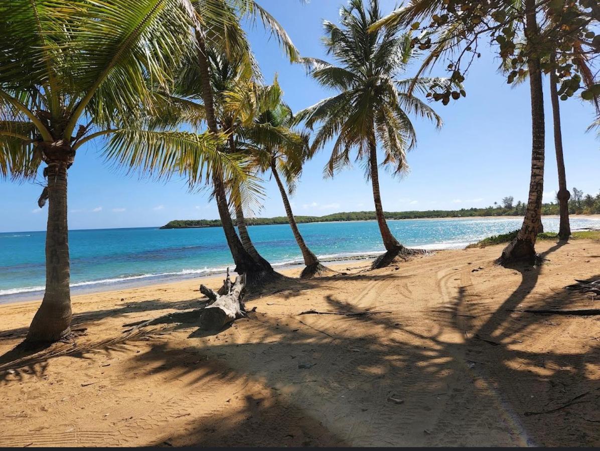 Bee Inn Puerto Rico Charming Urban Apartment In San Juan Luaran gambar