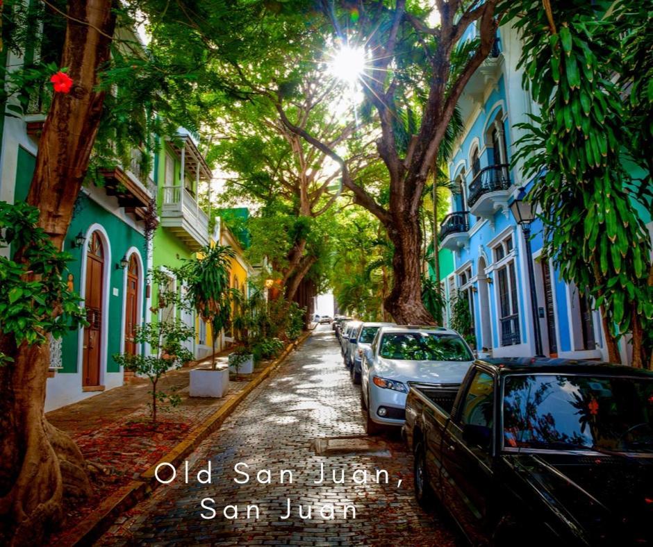 Bee Inn Puerto Rico Charming Urban Apartment In San Juan Luaran gambar